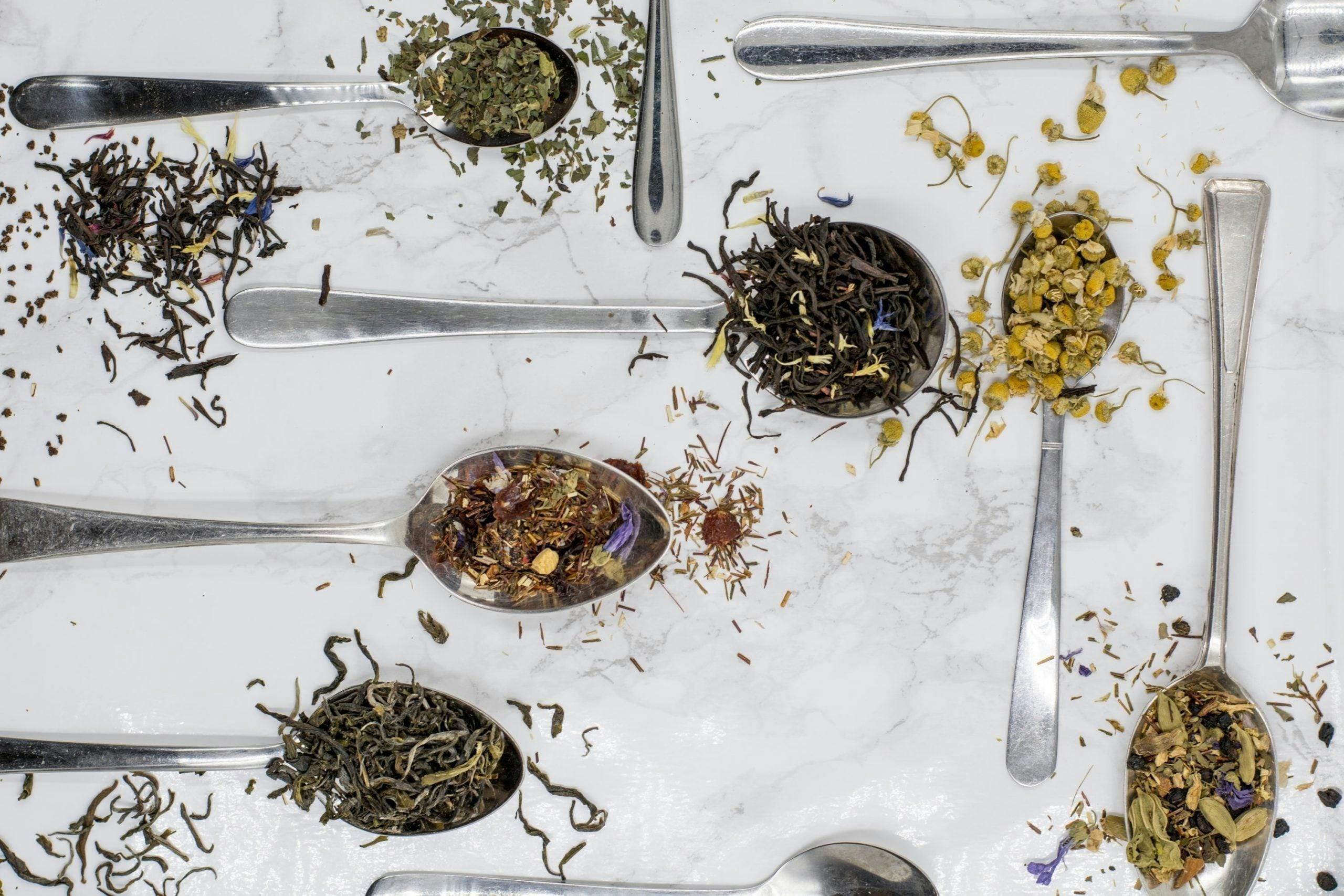 What are the Different Types of Tea and How Are They Made?