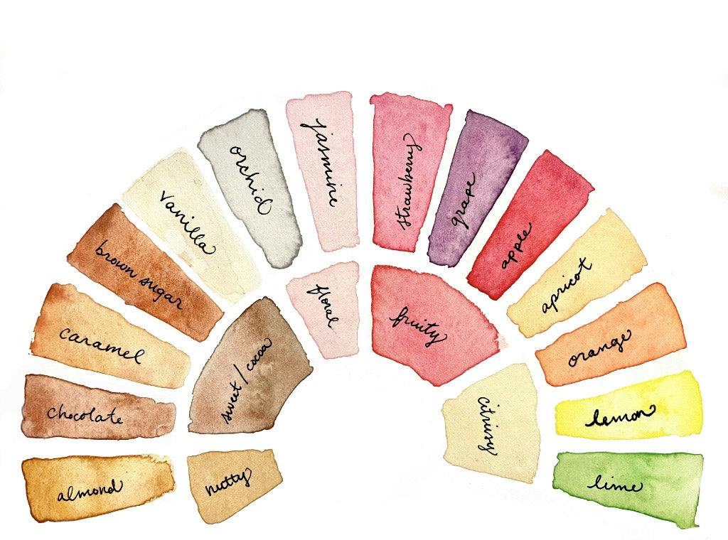 The Terminology of Coffee Tasting Notes