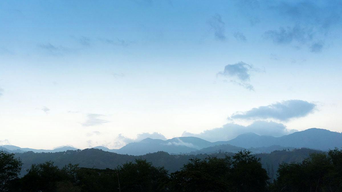 Jamaica Blue Mountain: Rare and Legendary