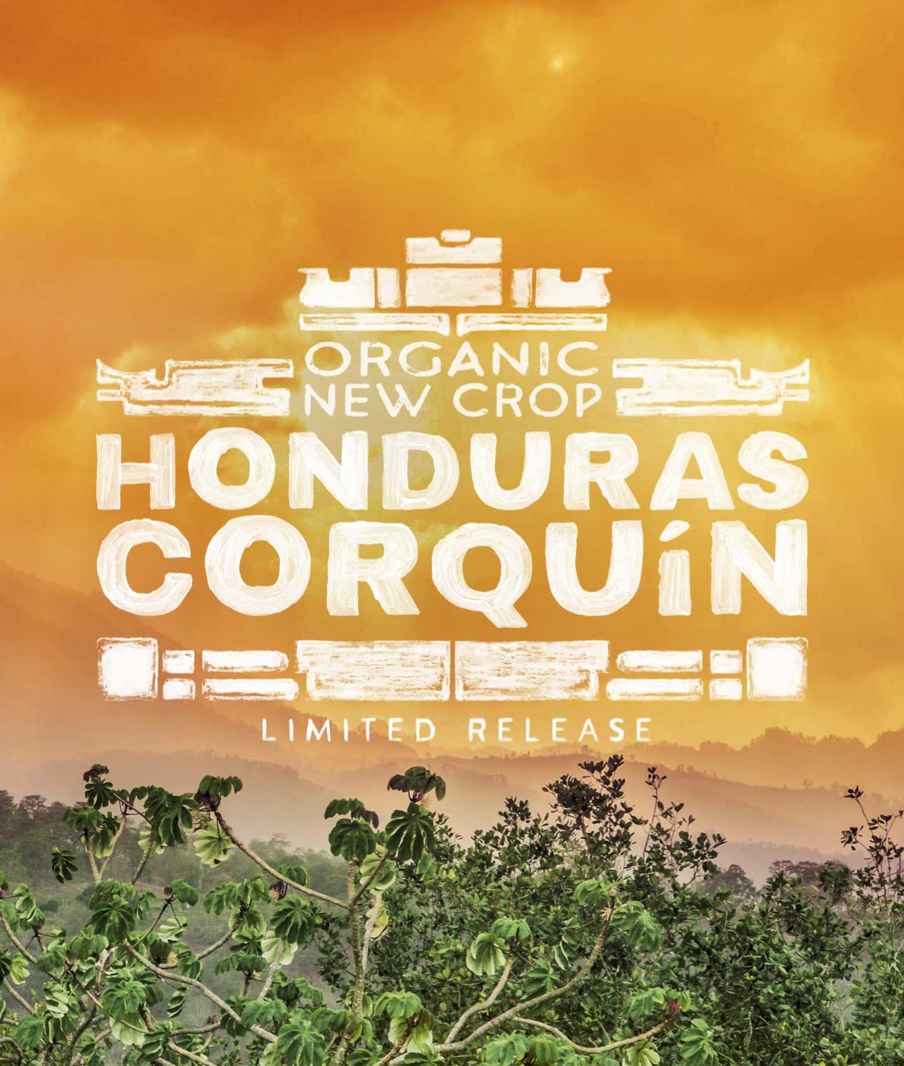 Organic New Crop Honduras Corquín