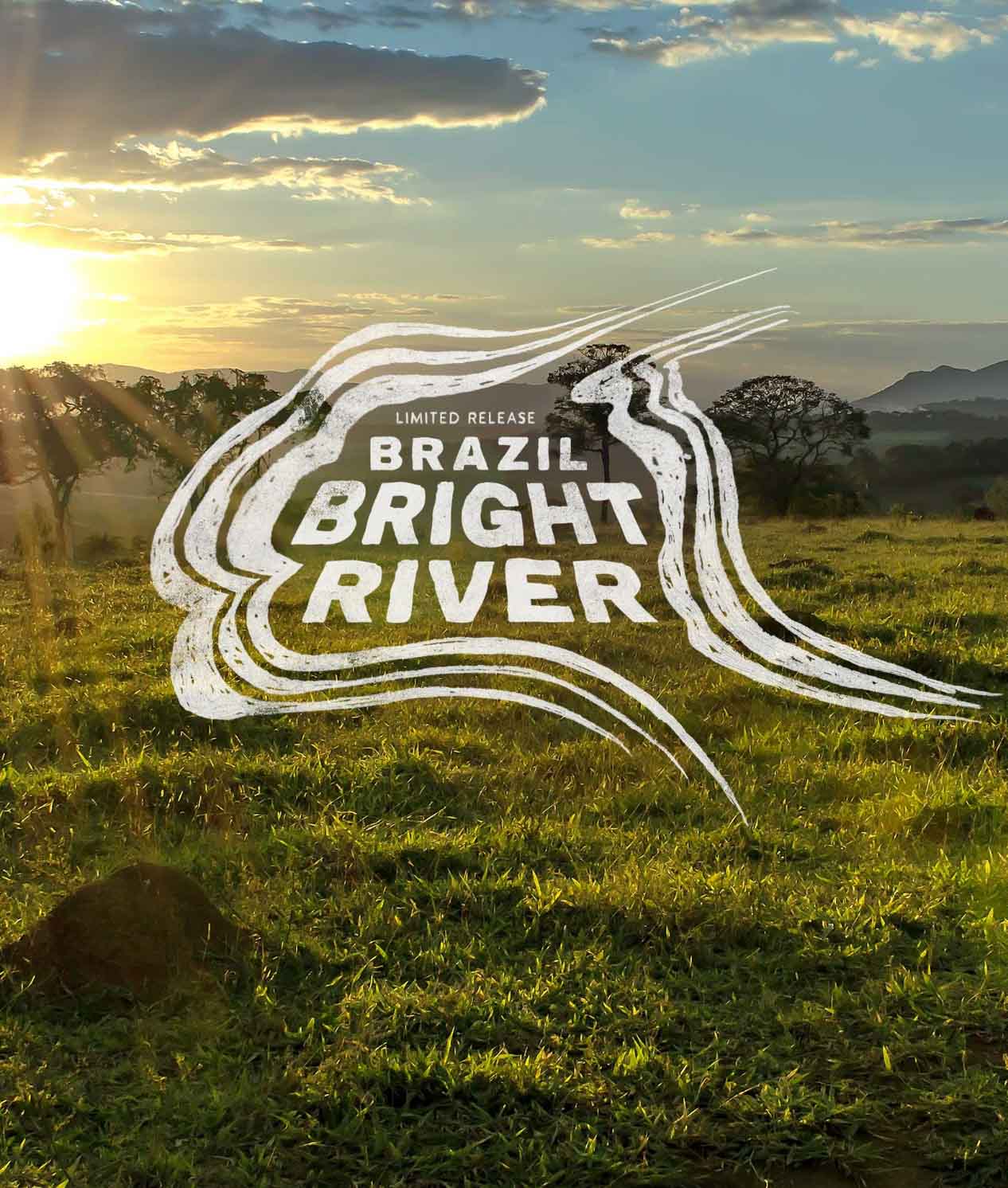 Brazil Bright River