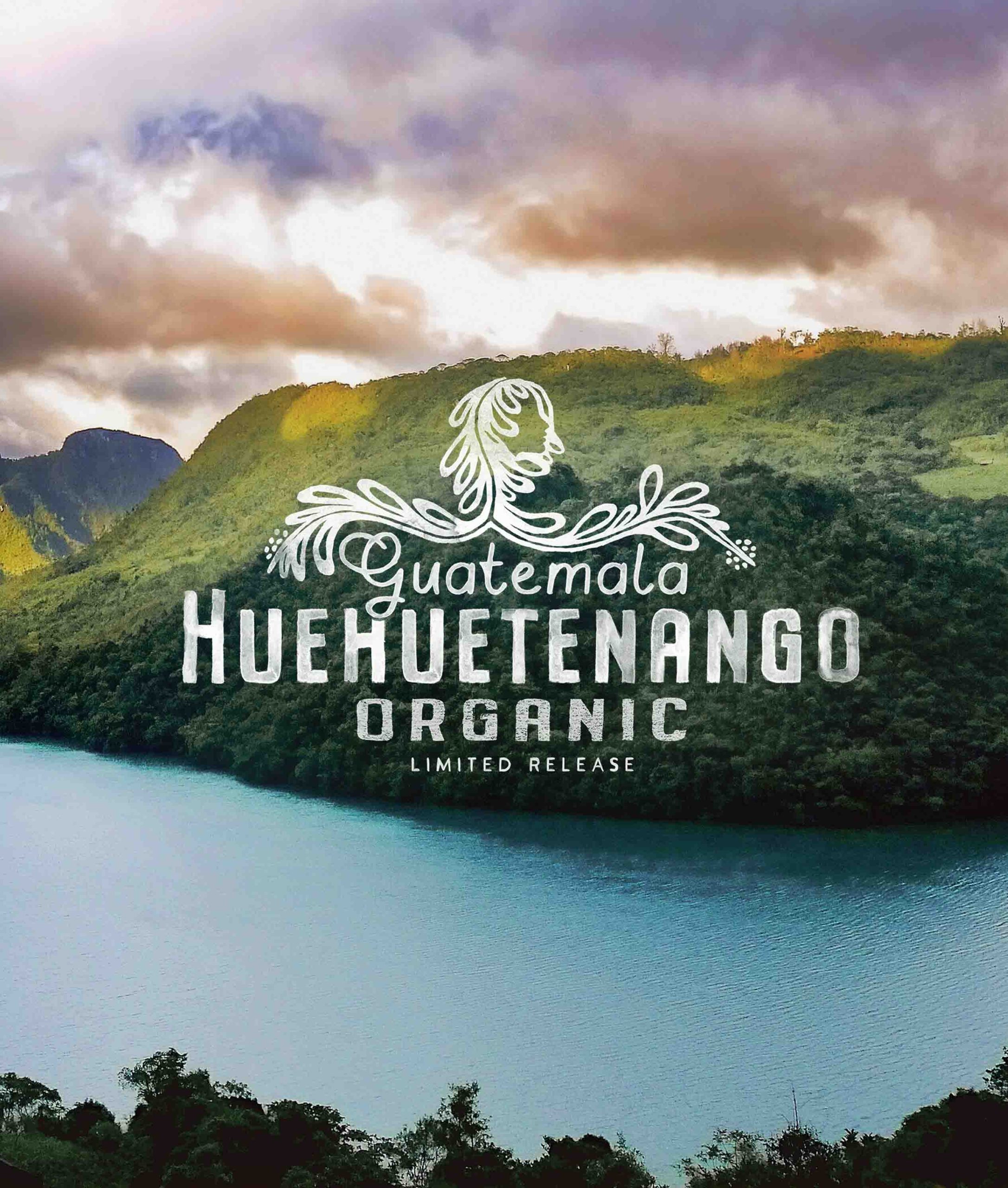 Guatemala Huehuetenango Organic