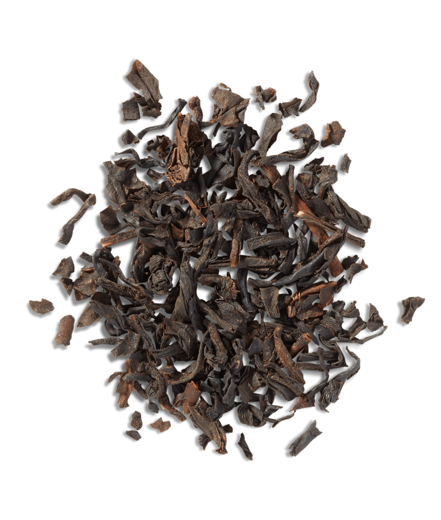 Vanilla Bean