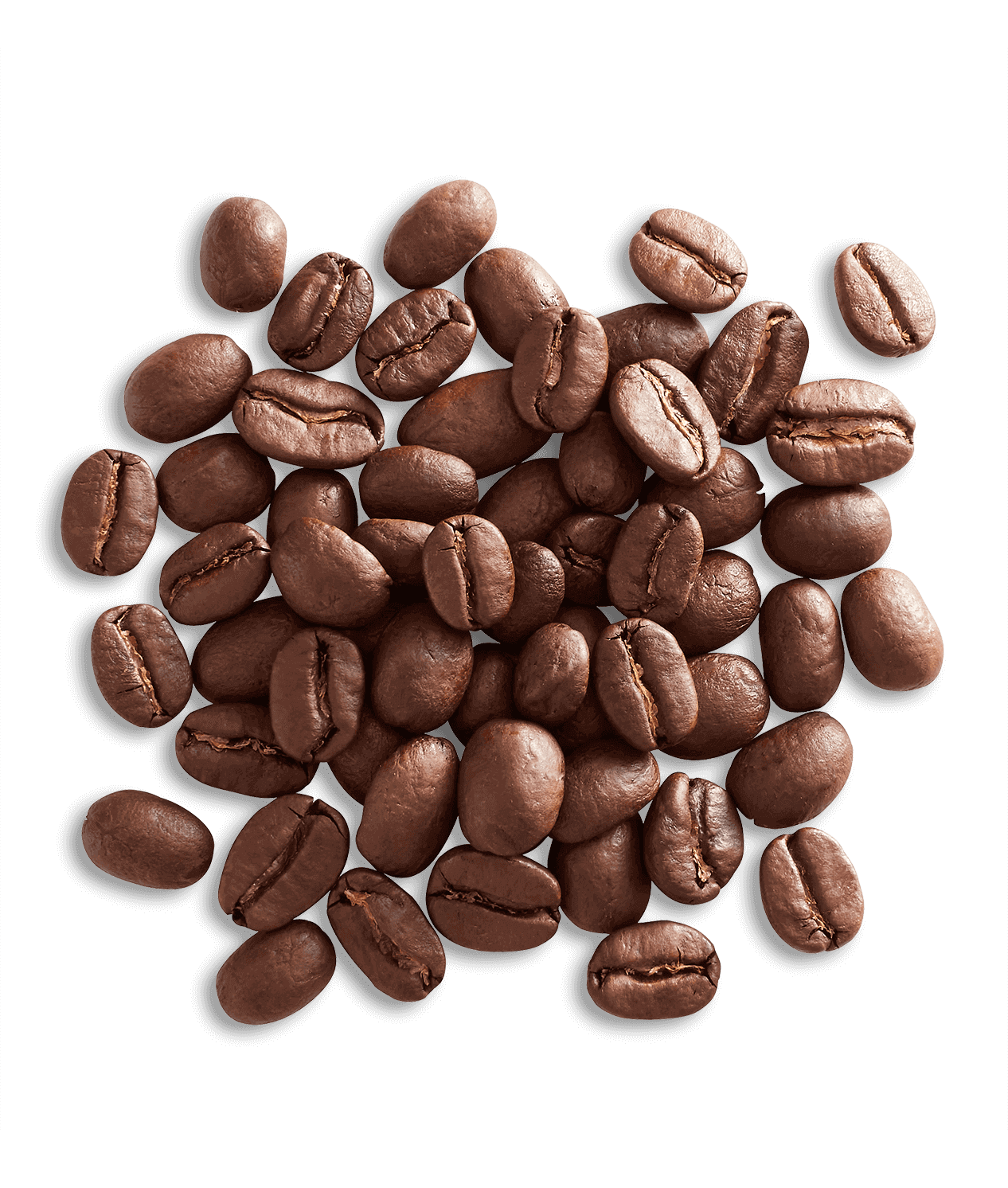 Organic Alameda Morning Blend